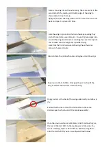 Preview for 3 page of MicronWings Glider Dual Fuse Fox Manual