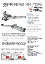 MicronWings MINI DELTA V2 Manual preview