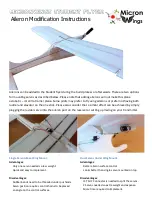 MicronWings Student Flyer Instructions preview