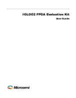 Preview for 1 page of Microsemi IGLOO2 FPGA DSP FIR Filter User Manual