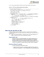 Preview for 65 page of Microsemi SyncServer S80 User Manual