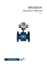 Microsensor MFE600H Series Operation Manual preview