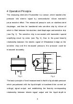 Предварительный просмотр 7 страницы Microsensor MPM489W Operation Manual