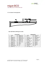 Preview for 8 page of microSYST migan BCD User Manual