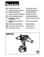 Preview for 1 page of Miele DDF481 Instruction Manual