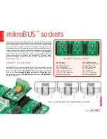 Preview for 20 page of mikroElektronika EasyPIC PRO v7 User Manual