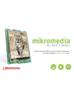 mikroElektronika MIKROE-1575 Manual preview