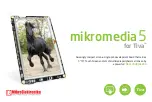 mikroElektronika mikromedia 5 Manual preview