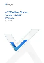 Milesight WTS Series User Manual предпросмотр