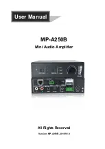 Milestone pro MP-A250B User Manual preview