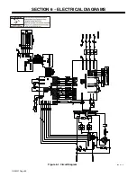 Предварительный просмотр 30 страницы Miller Electric CST 250 Owner'S Manual