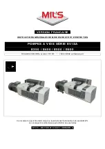 Предварительный просмотр 21 страницы MIL'S EVISA Series General Commissioning And Maintenance Instructions