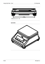 Preview for 50 page of Minebea Intec Compact Scale Puro Advanced EF-P1 Operating Instructions Manual