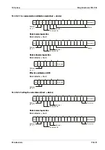 Preview for 209 page of Minebea Intec CSD-903 Operating Instructions Manual