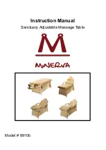 Minerva 8910b Instruction Manual preview