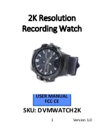 Mini Gadgets DVMWatch2K User Manual предпросмотр