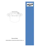 Misaca Pressure Cooker Instruction Manual preview