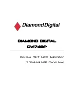 Preview for 1 page of Mitsubishi Electric Diamond Digital DV173BP User Manual