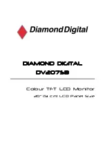 Preview for 1 page of Mitsubishi Electric DV207SB User Manual