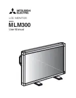 Preview for 1 page of Mitsubishi Electric L30HV201 User Manual