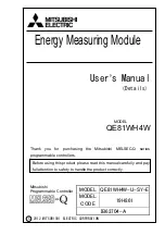 Mitsubishi Electric MELSEC-Q QE81WH4W User Manual preview