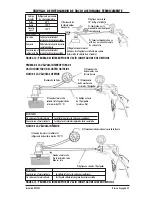 Preview for 43 page of Mityvac MV8000 User Manual