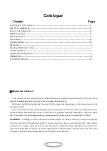 Preview for 2 page of MJ LED LIGHTNING MJ-1027A User Manual