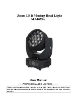 MJ LED LIGHTNING MJ-1029A User Manual preview