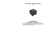 Preview for 1 page of MJ LED LIGHTNING MJ-3110 User Manual