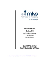 Preview for 2 page of MKS HPS 919 Series Operation And Maintenance Manual