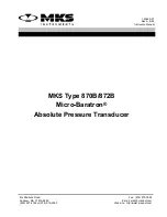 MKS Micro-Baratron 870B Instruction Manual preview