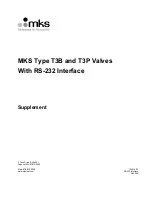 MKS T3B Series Supplement Manual preview