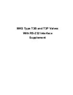 Предварительный просмотр 3 страницы MKS T3B Series Supplement Manual