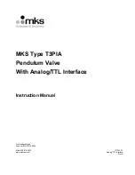 Предварительный просмотр 1 страницы MKS T3PIA Instruction Manual