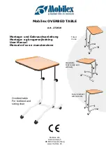 Mobilex 272010 User Manual preview