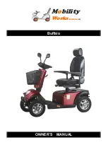 Mobility Works Buffalo Owner'S Manual preview