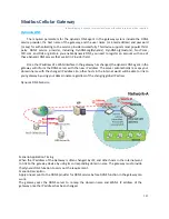 Preview for 141 page of Modbus IOG700AM-0xCR1 User Manual