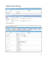 Preview for 176 page of Modbus IOG700AM-0xCR1 User Manual