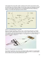 Предварительный просмотр 25 страницы Model Shipways MA1040 Instruction Manual