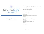 MolecuLight i:X User Manual предпросмотр