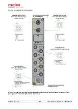 Предварительный просмотр 32 страницы molex Brad HarshIO 300 ePN User Manual