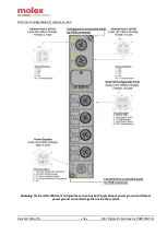 Предварительный просмотр 34 страницы molex Brad HarshIO 300 ePN User Manual