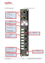 Предварительный просмотр 38 страницы molex Brad HarshIO 300 ePN User Manual