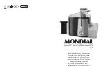 Mondial Designs Limited CF-06 Instruction Manual And Technical Service preview