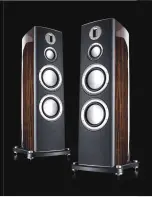 Preview for 5 page of Monitor Audio Loudspeaker Platinum Series Brochure & Specs