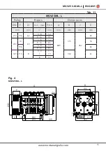 Preview for 15 page of Montanari MGV25 Series Use And Maintenance