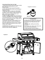 Предварительный просмотр 17 страницы Monument Grills 41847NG Assembly & Operating Instructions