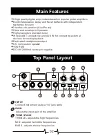 Preview for 4 page of Mooer HORNET BLACK Owner'S Manual