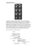 Preview for 30 page of Moog Monimoog VOYAGER ELECTRIC BLUE User Manual