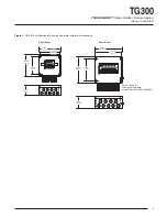 Preview for 5 page of Moore Industries Hawke TRUNKGUARD Series Installation Manual